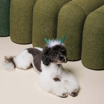 Аксесуар-ріжки Pet Fashion 
