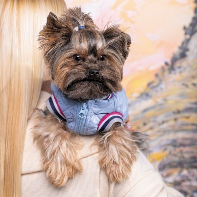 Бомбер Pet Fashion «Spike» для собак, розмір L, блакитний