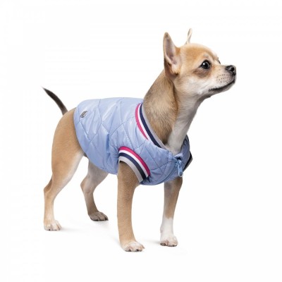 Бомбер Pet Fashion «Spike» для собак, розмір XL, блакитний