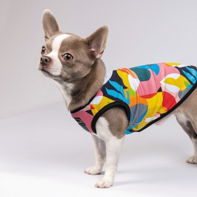 Борцівка Pet Fashion «Cool» для собак, розмір M, з принтом