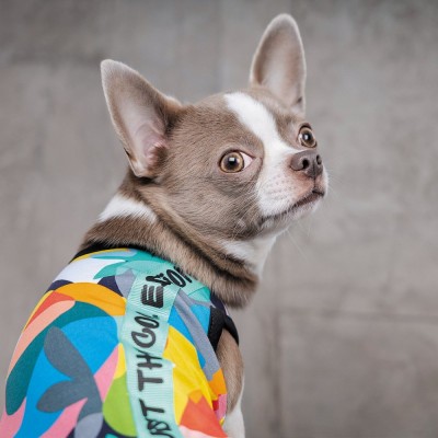 Борцівка Pet Fashion «Cool» для собак, розмір M, з принтом