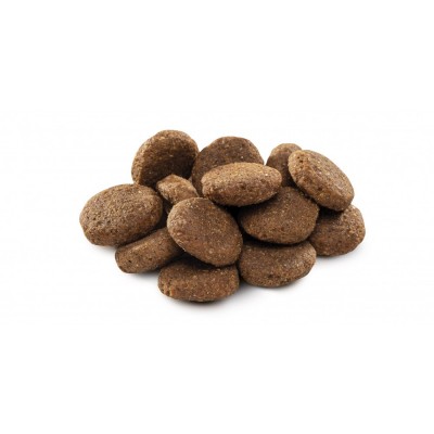 Сухий корм Brit Premium Dog Senior L+XL для старіючих собак великих порід, з куркою, 3 кг