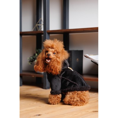 Дублянка Pet Fashion Black ХS для собак