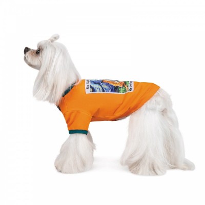 Футболка Pet Fashion «Art» для собак, розмір XS2, помаранчева