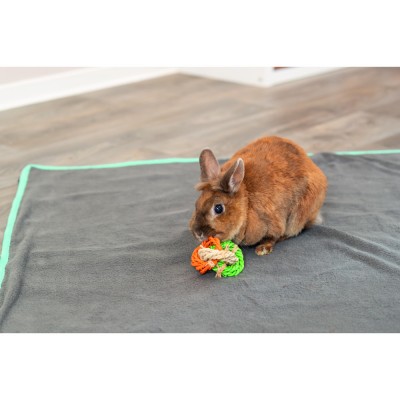 Іграшка Trixie Кільця з кукурудзяного листя для гризунів d 6х15 см