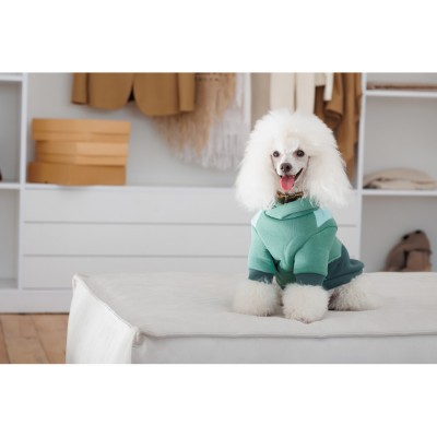 Худі Pet Fashion Woody для собак розмір М