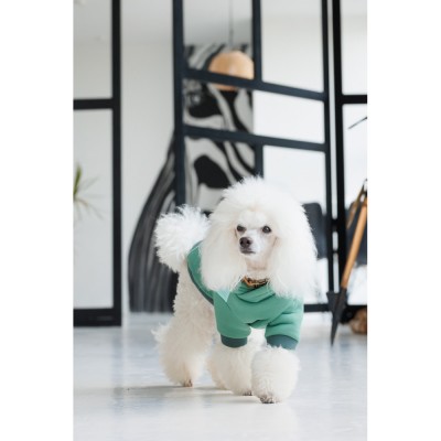 Худі Pet Fashion Woody для собак розмір XS