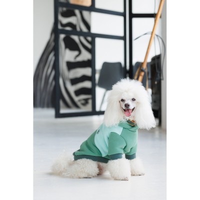 Худі Pet Fashion Woody для собак розмір XXS