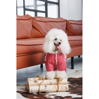 Комбінезон Pet Fashion Cherry ХS дівчинка для собак