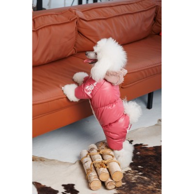 Комбінезон Pet Fashion Cherry ХS2 дівчинка для собак