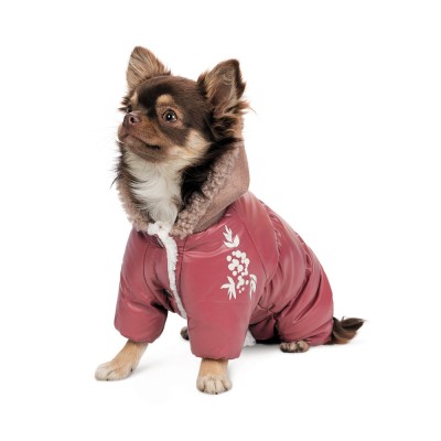 Комбінезон Pet Fashion Cherry M дівчинка для собак