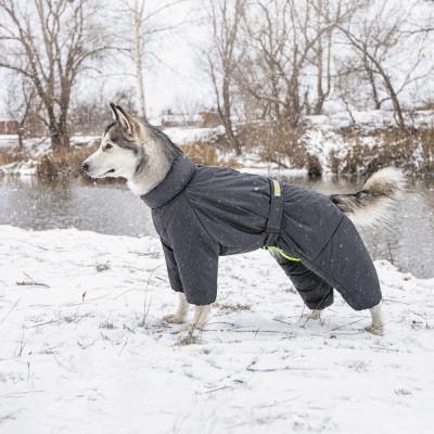 Комбінезон Pet Fashion «Cold» для такс, розмір M, сірий