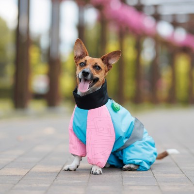 Комбінезон Pet Fashion Milly дівчинка для собак ML