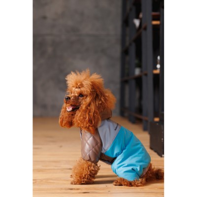 Комбінезон Pet Fashion Сharlie ХS2 для собак