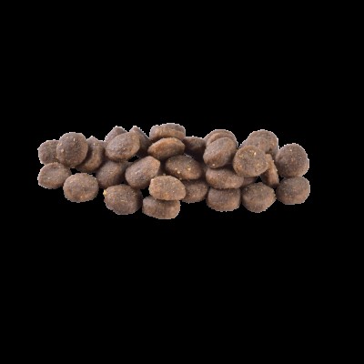 Сухий корм Brit Care Dog Grain-free Puppy для цуценят, беззерновий з лососем, 12 кг