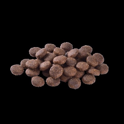 Сухий корм Brit Care Dog Grain-free Junior Large Breed для молодих собак великих порід, беззерновий з лососем, 12 кг