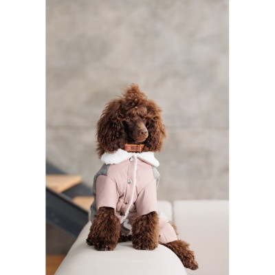 Костюм дівчинка Pet Fashion Twiddy М для собак