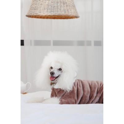 Костюм Pet Fashion ALF для собак розмір M бежевий