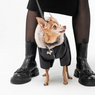 Костюм Pet Fashion «Black» для собак, розмір XS, чорний