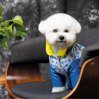 Костюм Pet Fashion Tender для дівчаток, розмір M, синій