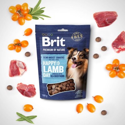 Ласощі для cобак Brit Premium Semi-moist Snacks Lamb with Sea Buckthorn напіввологі з ягням і обліпихою 180 г