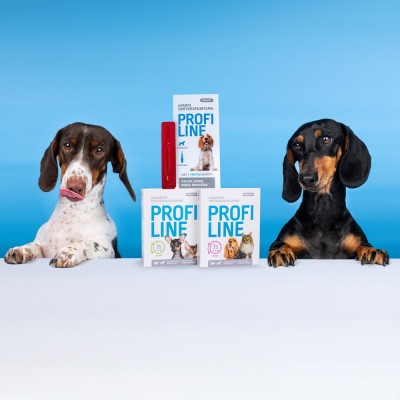 Нашийник Provet Profiline для котів та собак 35 см, кораловий (інсектоакарицид)