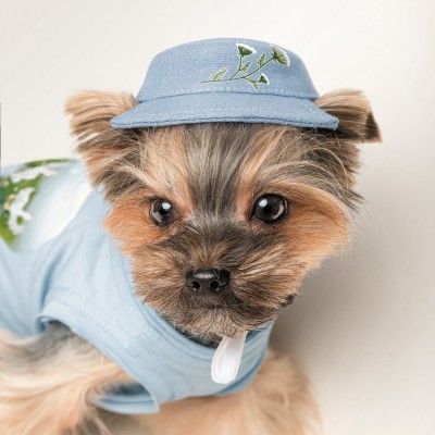 Панама Pet Fashion для собак Blue M з квітковим принтом