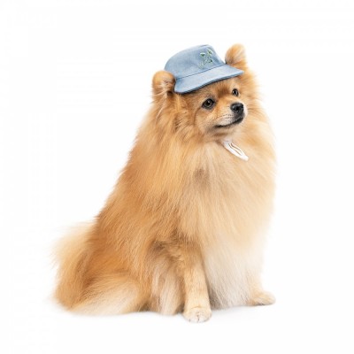 Панама Pet Fashion для собак Blue XS з квітковим принтом