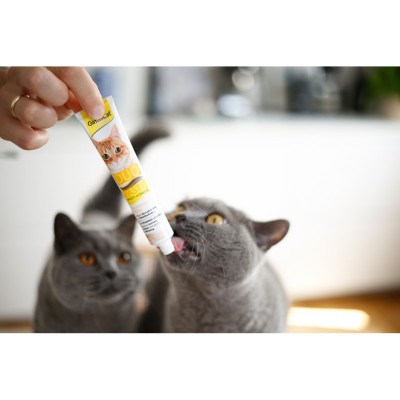 Паста для котів GimCat DUO PASTE Multi-vitamin 12 vitamins with cheese 12 вітамінів та сир, 50 г