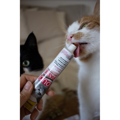 Паста для котів з чутливим травленням GimCat DUO PASTE Anti-hairball malt with chicken мальт та курка, 50 г