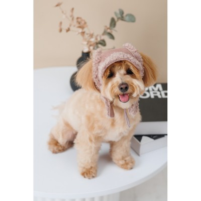 Шапка Pet Fashion Valley для собак розмір M