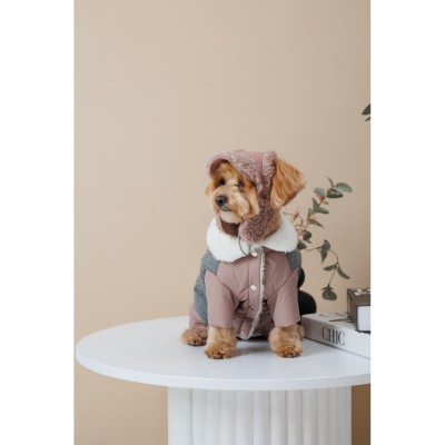 Шапка Pet Fashion Valley для собак розмір S