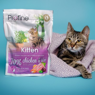 Сухий корм Profine Kitten для кошенят, з куркою та рисом, 300 г