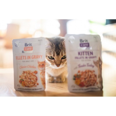 Вологий корм для кошенят Brit Care Kitten Fillets in Gravy Tender Turkey філе в соусі індичка, 85 г