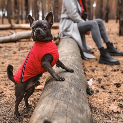 Жилет Pet Fashion «E.Vest» для собак, розмір M, червоний