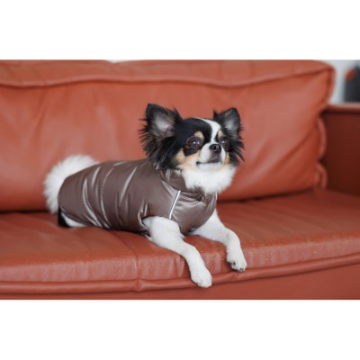 Жилет Pet Fashion Hardy для собак розмір L