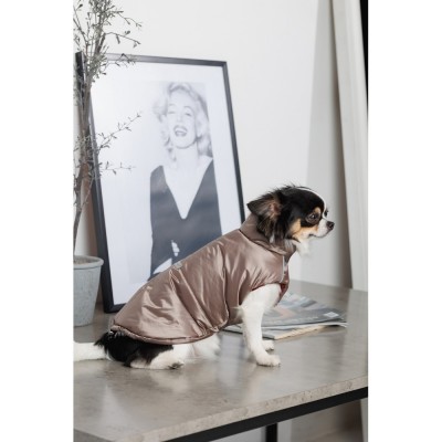 Жилет Pet Fashion Hardy для собак розмір L