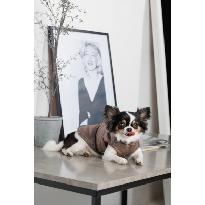 Жилет Pet Fashion Hardy для собак розмір L