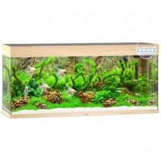 Акваріум Juwel прямий RIO 240 LED, 121х55х41см, 240 л