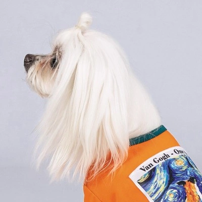 Футболка Pet Fashion «Art» для собак, розмір S, помаранчева