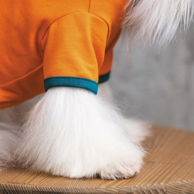 Футболка Pet Fashion «Art» для собак, розмір S, помаранчева