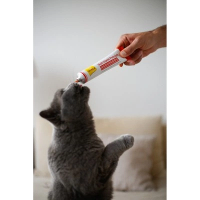 Мультивітамінна паста GimCat Every Day Extra для котів, 100 г