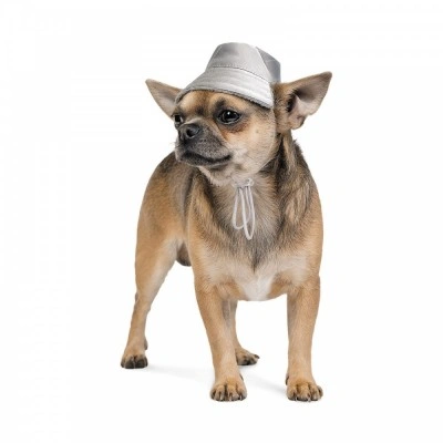Шапка Pet Fashion «Party» для собак, розмір M, сіра (зима)