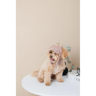 Шапка Pet Fashion Valley для собак розмір M