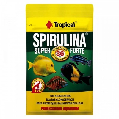 Сухий корм Tropical Super Spirulina Forte для акваріумних травоїдних риб, 12 г (пластівці) Сухий корм Tropical Super Spirulina Forte для акваріумних травоїдних риб, 12 г (пластівці)
