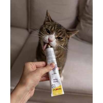 Вітаміни GimCat Expert Line Senior для котів, старше 7 років, 50 г